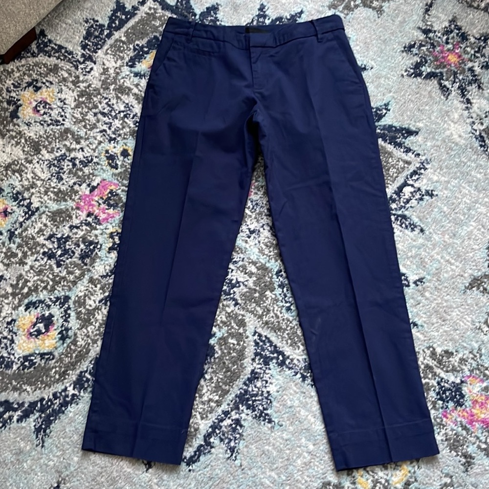 Patagonia Womens Navy Pants size 6